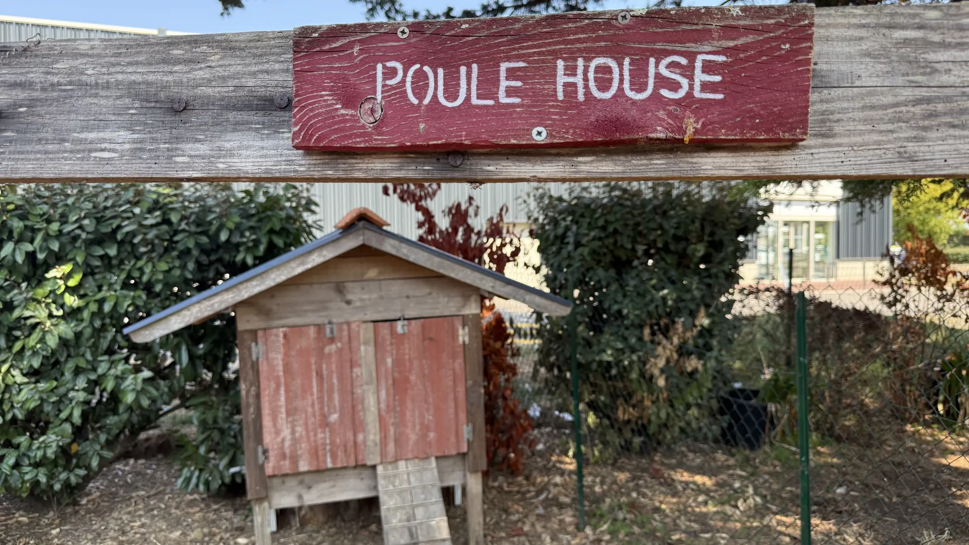 poule house