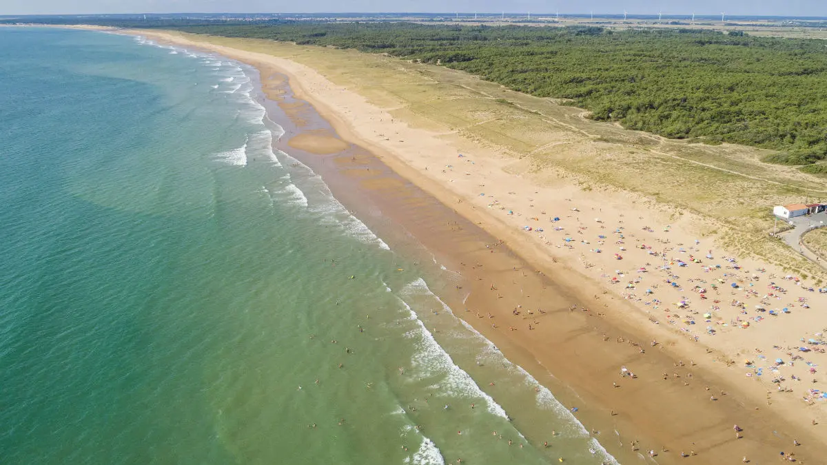 plage-terriere2