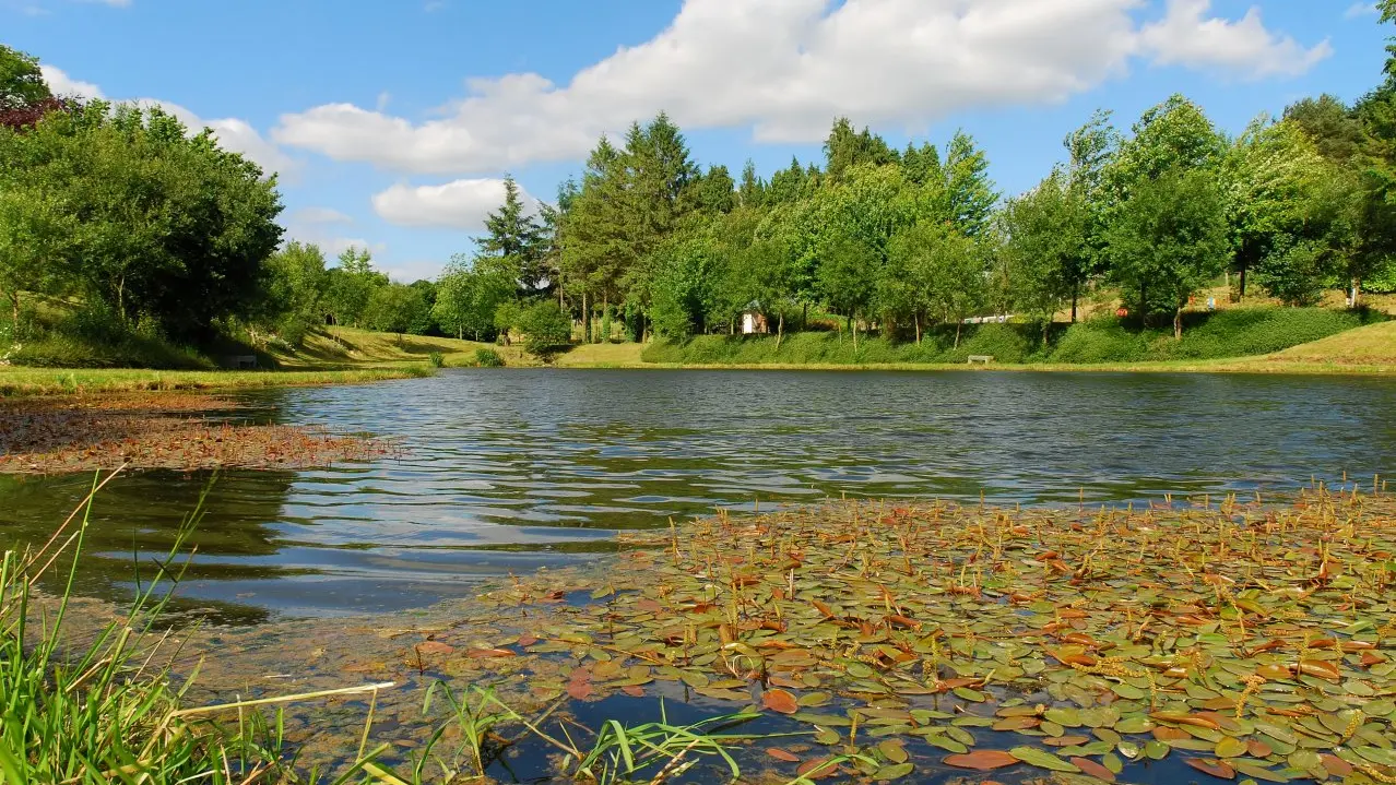 plan-d-eau-saint-mars-sur-la-futaie-53-loi-2