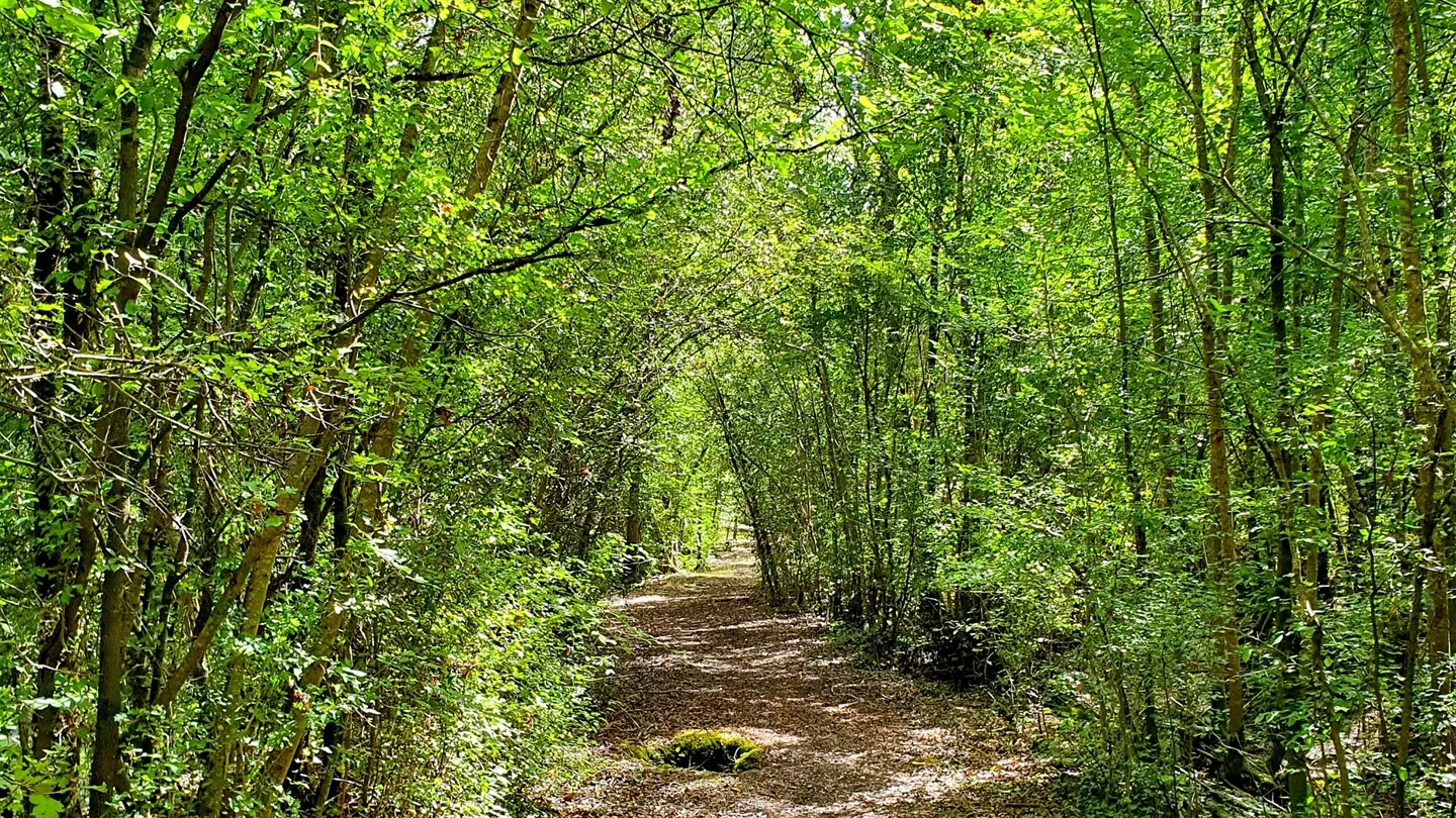 randonnée-la route-d-eau-doix-les-fontaines-7