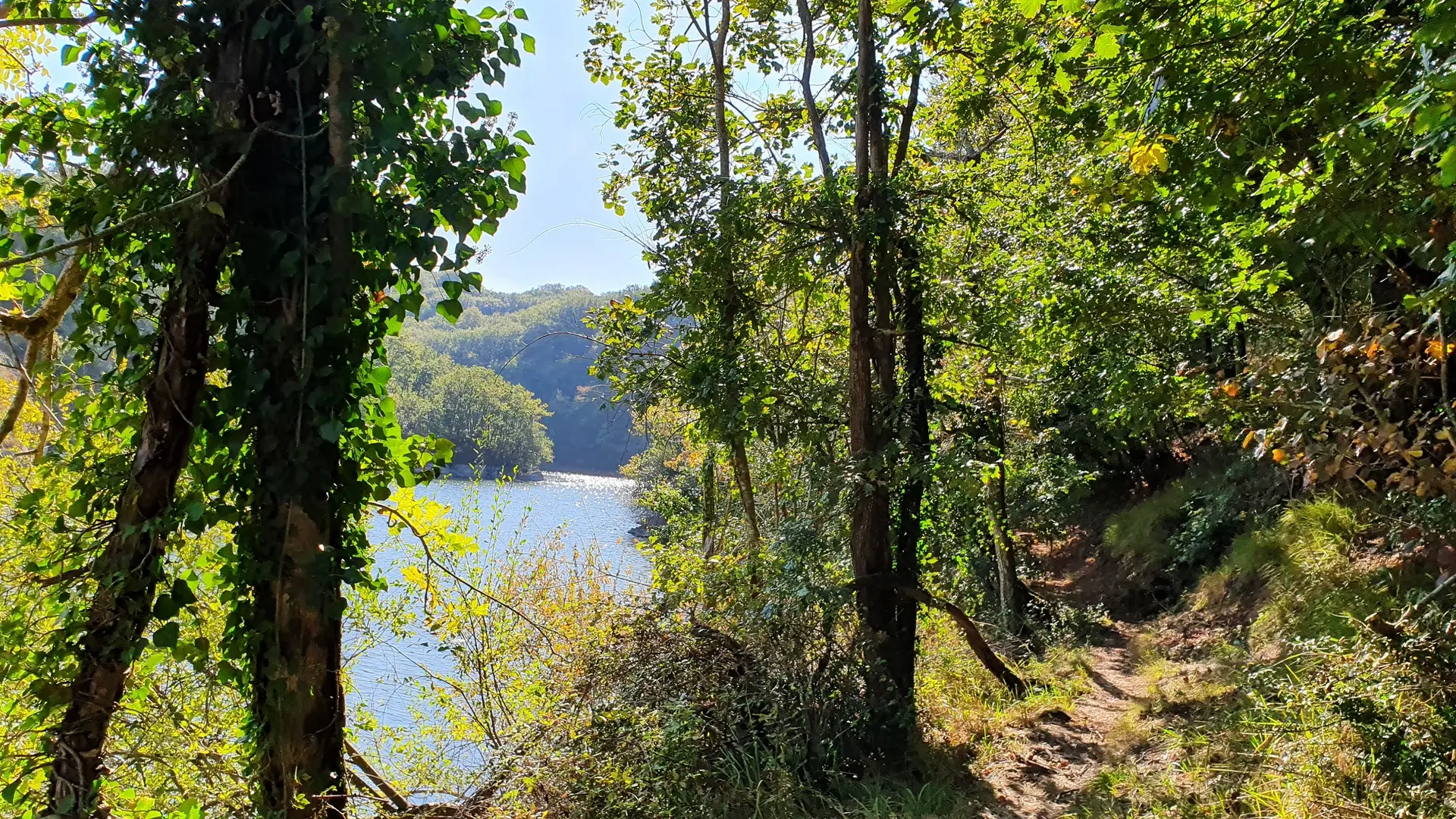 randonnée-la-fontaine-à-l-ermite-l-orbrie-foret-mervent-85200-1