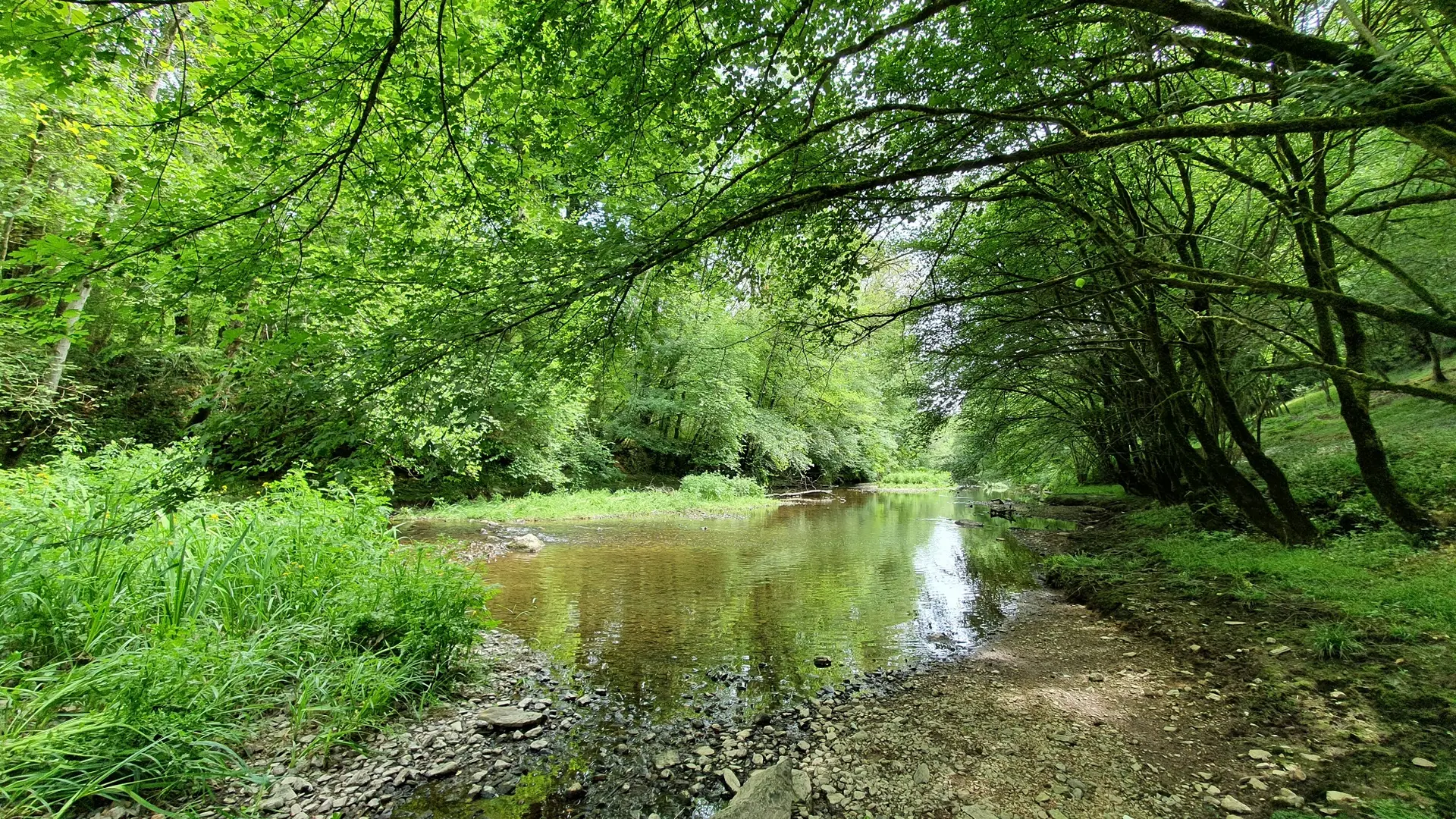 randonnée-le-barrage-l'orbrie-mervent-85200-fontenay-vendee- (8)