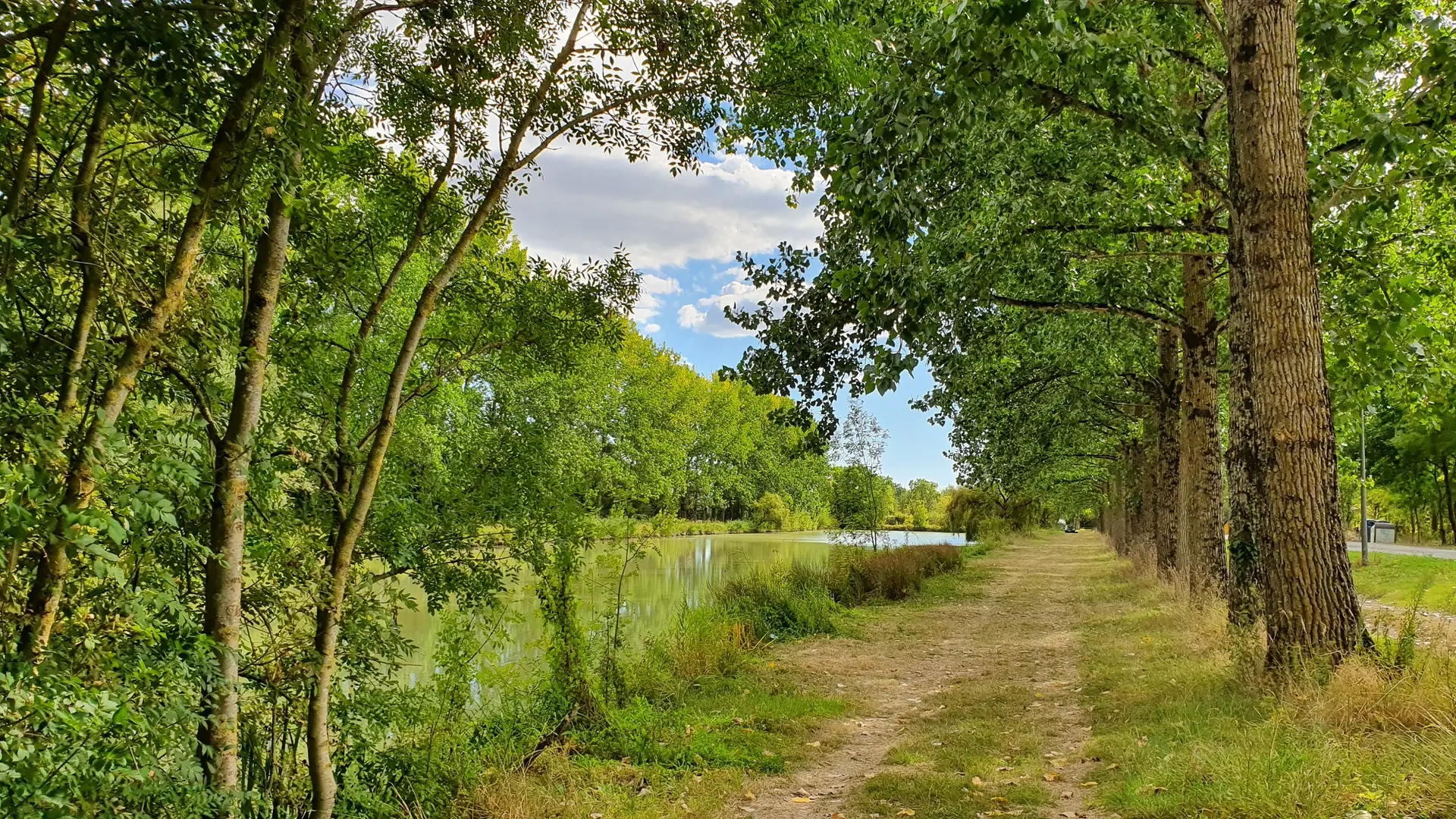 randonnée-le-marais-le-langon-fontenay-vendee-85370-1