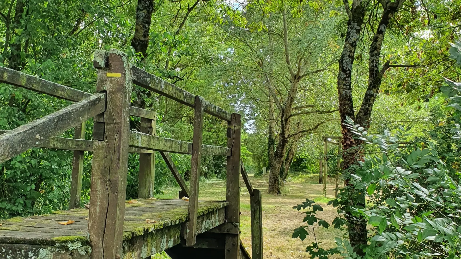 randonnée-le-marais-le-langon-fontenay-vendee-85370-2