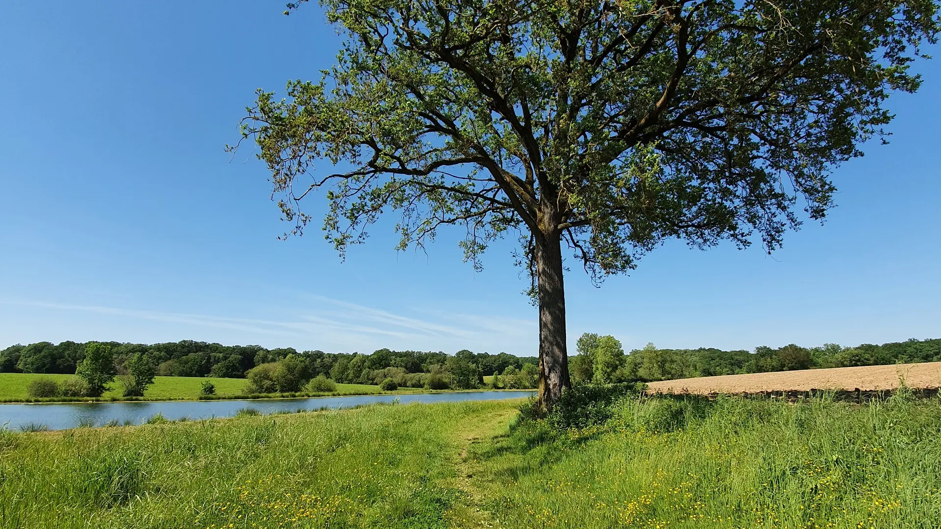 randonnée-les-etangs-foussais-payré-fontenay-vendee-85- (2)