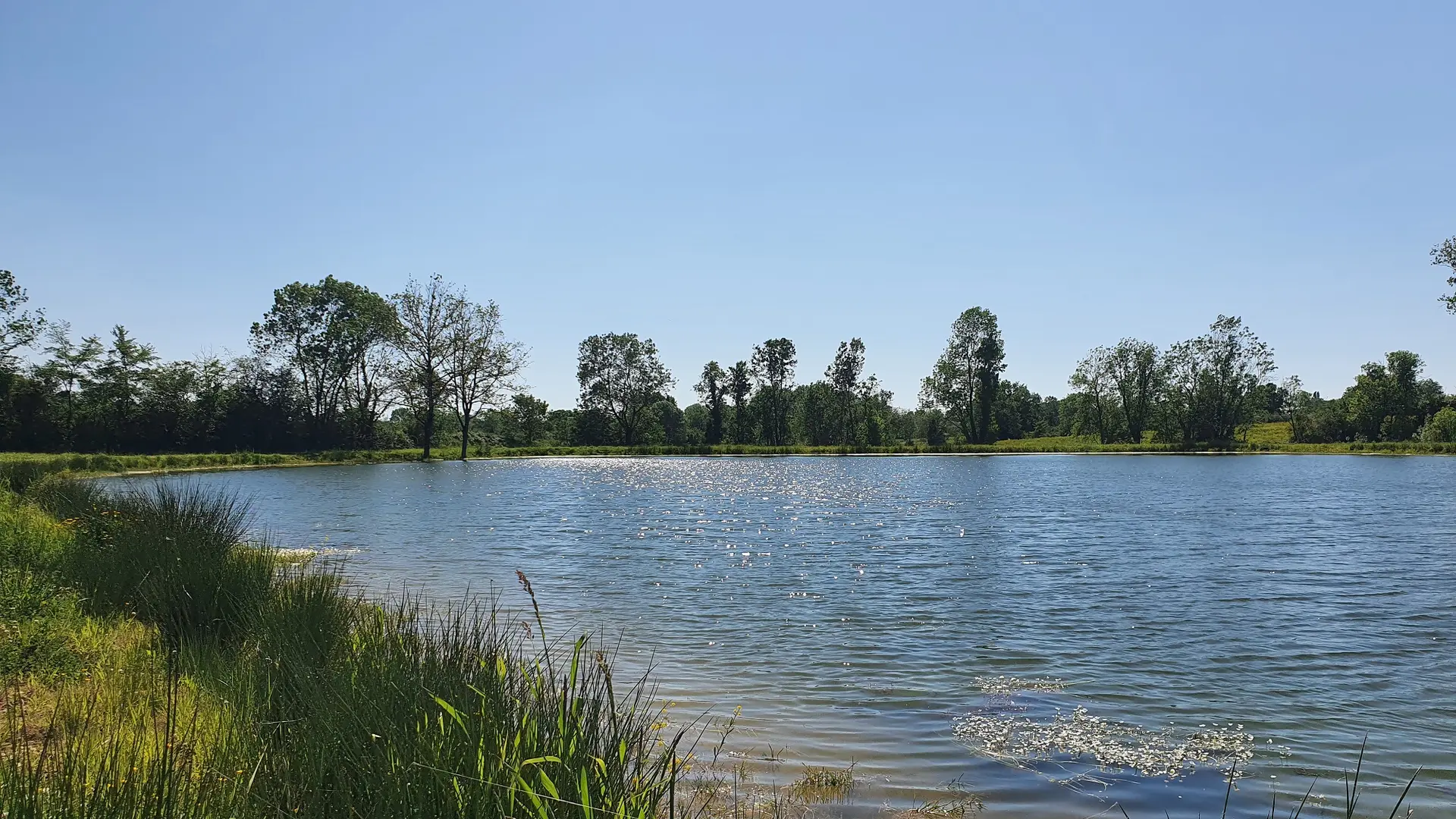 randonnée-les-etangs-foussais-payré-fontenay-vendee-85- (3)