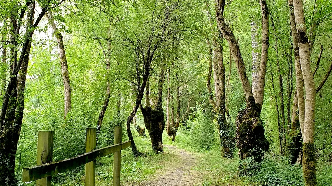 randonnée-la route-d-eau-doix-les-fontaines-4