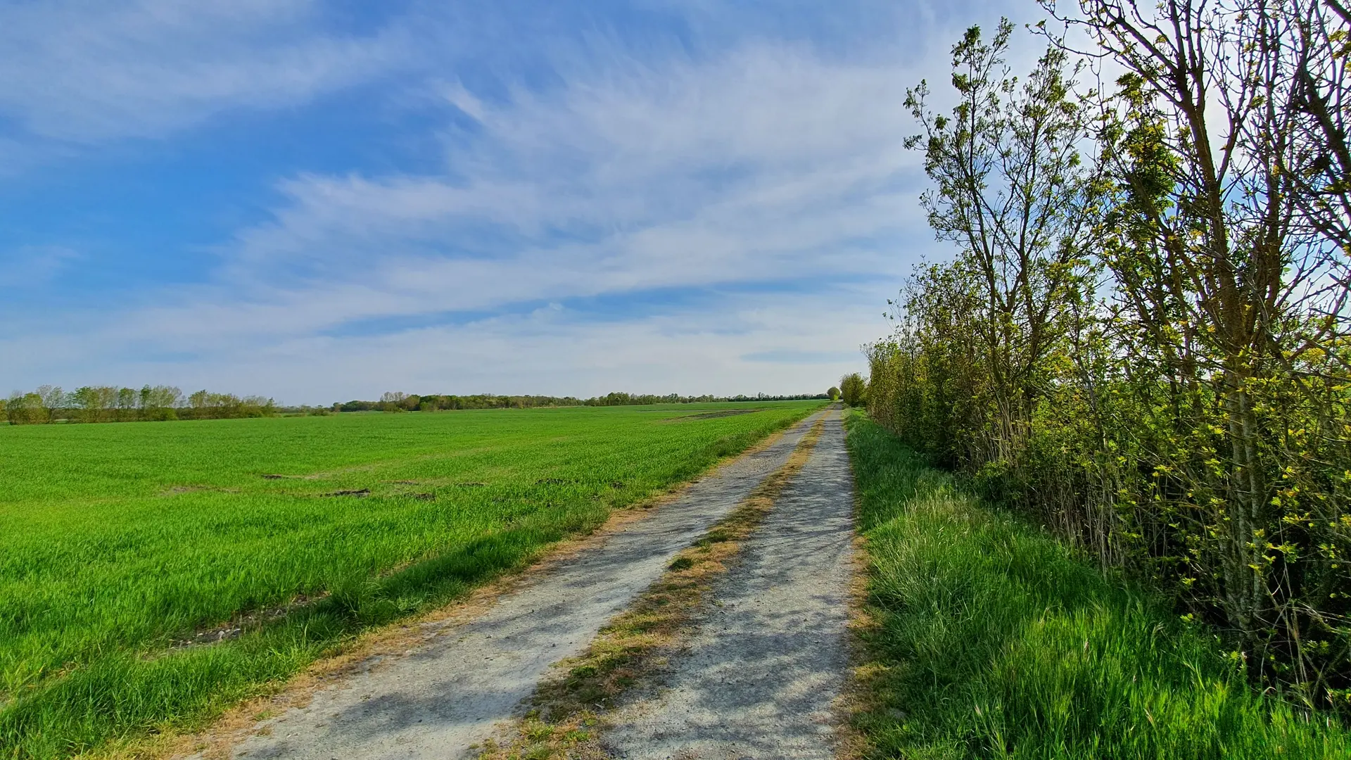randonnée-pédestre-baude-grand-montreuil-fontenay-vendee-85200-3