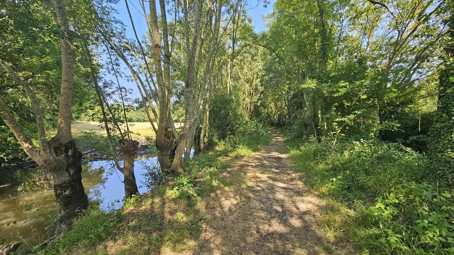 randonnee-pedestre-le-grand-marais-bouille-courdault-vendee-85- (3)