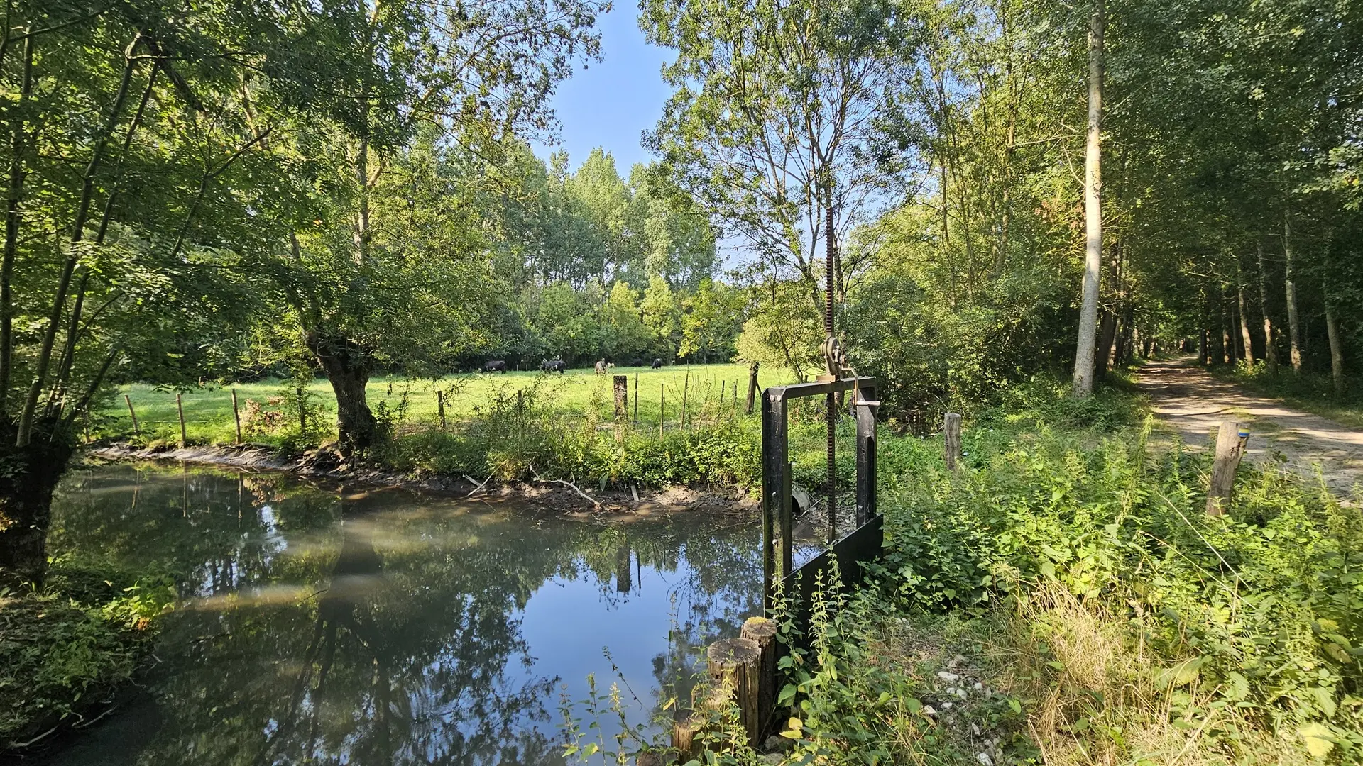 randonnee-pedestre-le-grand-marais-bouille-courdault-vendee-85- (5)