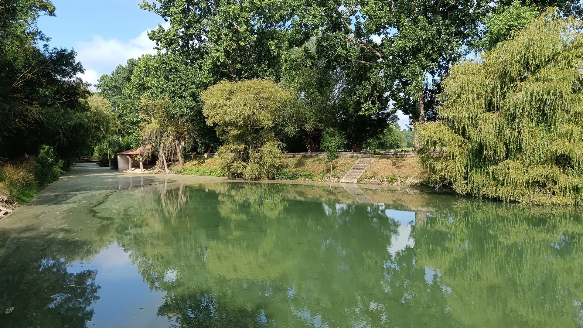 randonnee-pedestre-les-nattes-azire-benet-vendee-marais-poitevin-85- (1)