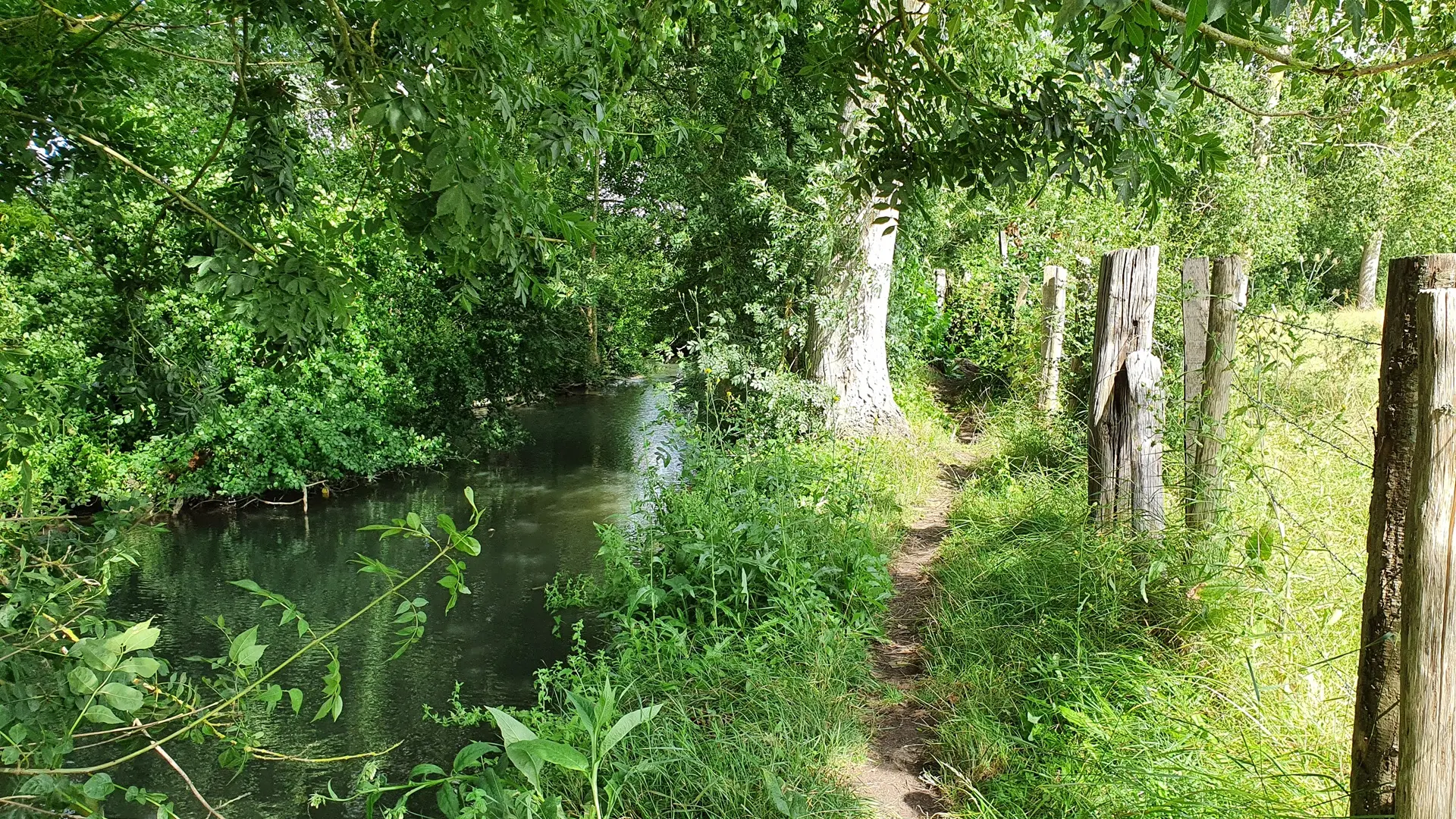 randonnee-pedestre-les-nattes-azire-benet-vendee-marais-poitevin-85- (4)