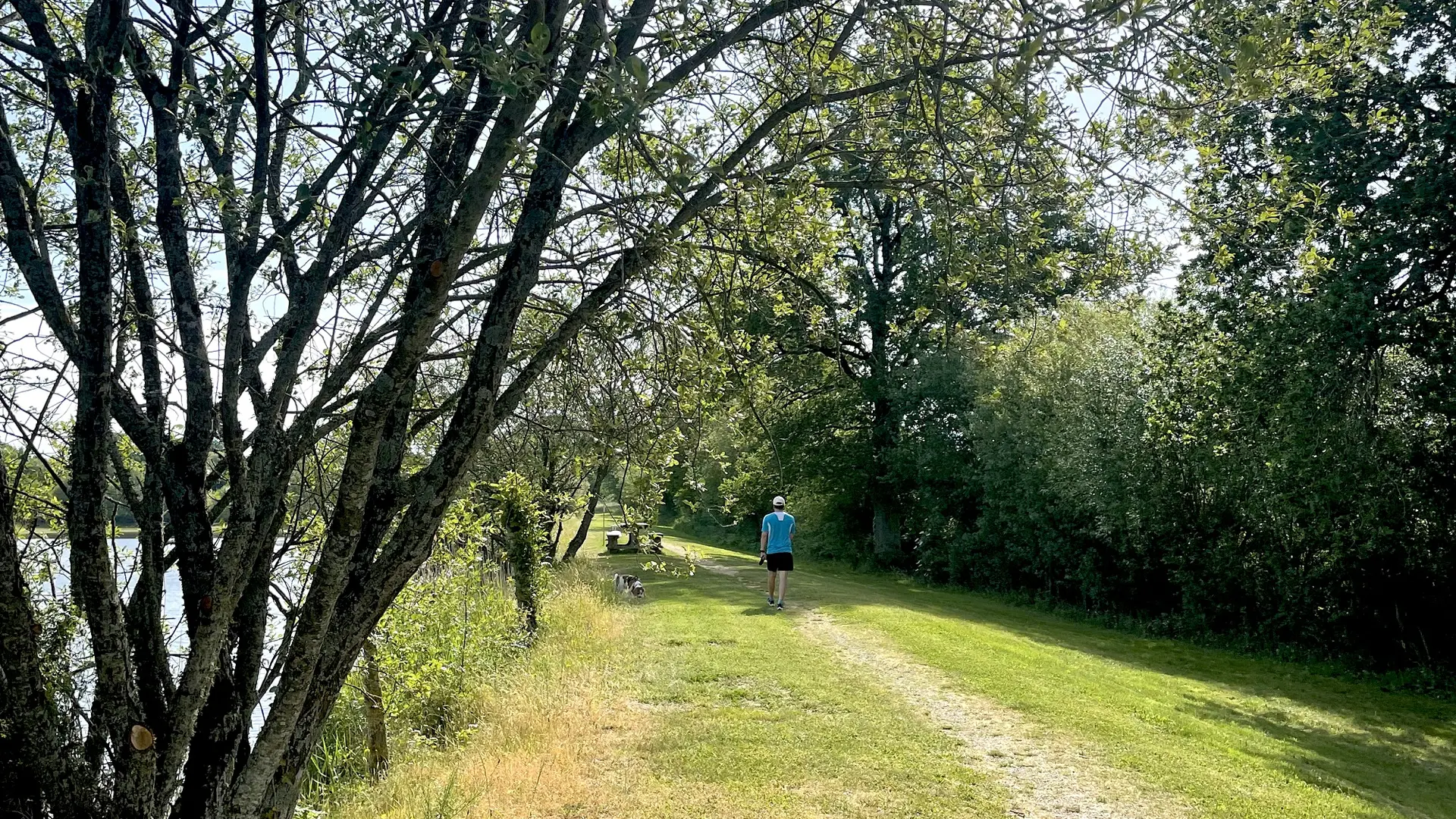 randonnée pédestre les petits gats saint-cyr-des-gats-fontenay-vendee- (1)