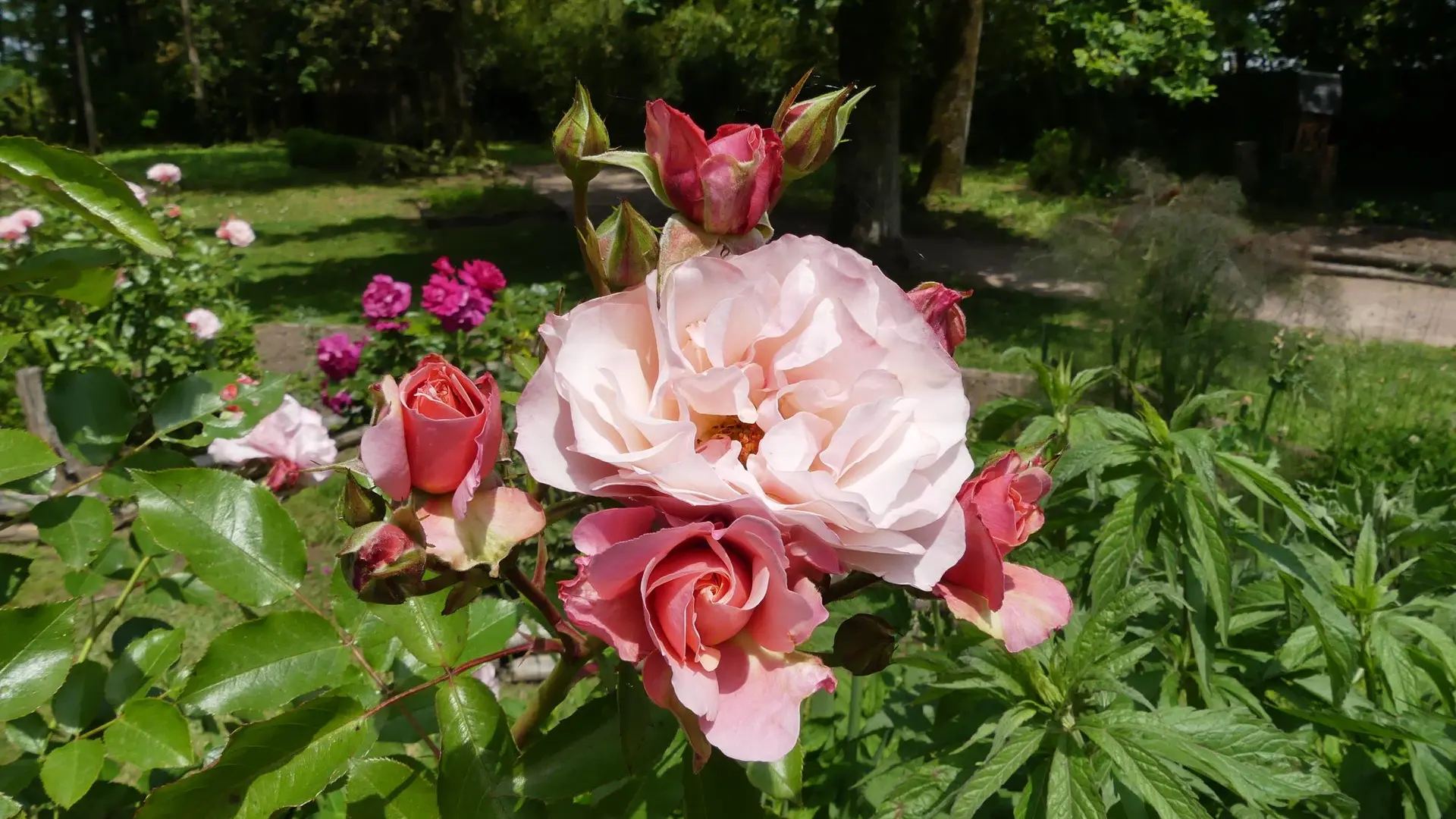 parc floral court d'aron