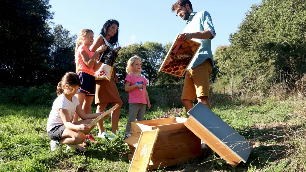 site-touristique-poiroux-folie-finfarine-animation-ruche-abeilles