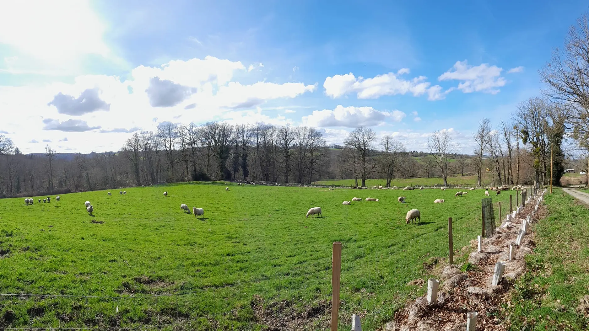 Ferme Au pré de mon arbre - Saint-Priest-Ligoure