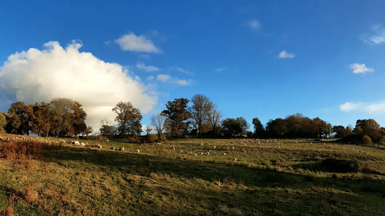 Ferme Au pré de mon arbre - Saint-Priest-Ligoure