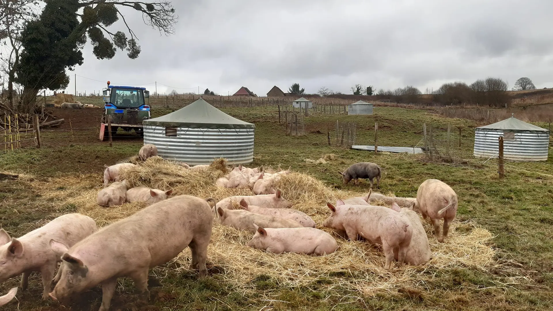 Ferme Au pré de mon arbre - Saint-Priest-Ligoure