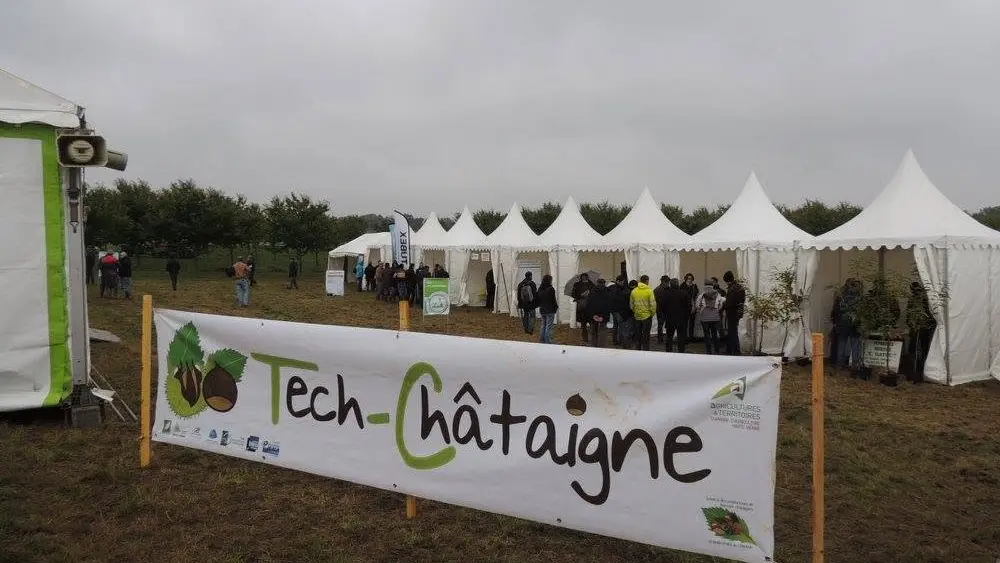 Tech-Châtaigne