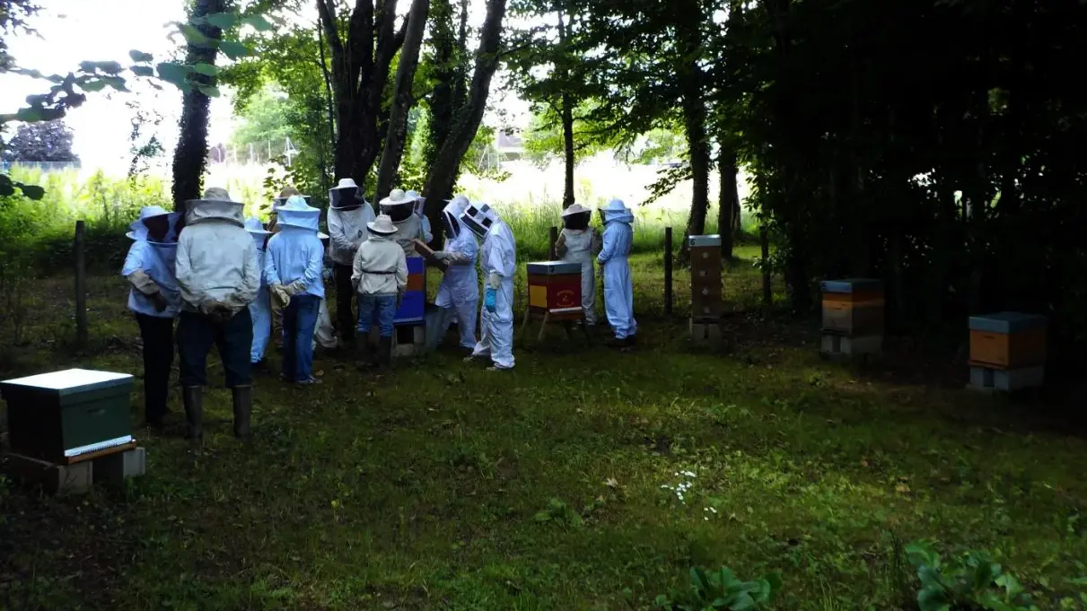 Le jardin aux abeilles à Magnac-Bourg