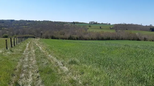 61289b09f6b47923d25bce25d507d4e2_tourime_limousin_diapo_750