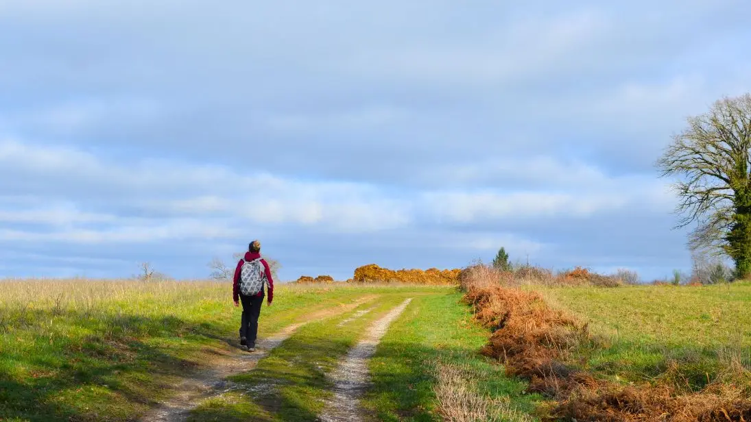 Circuit des Fontaines et des Étangs à Flavignac