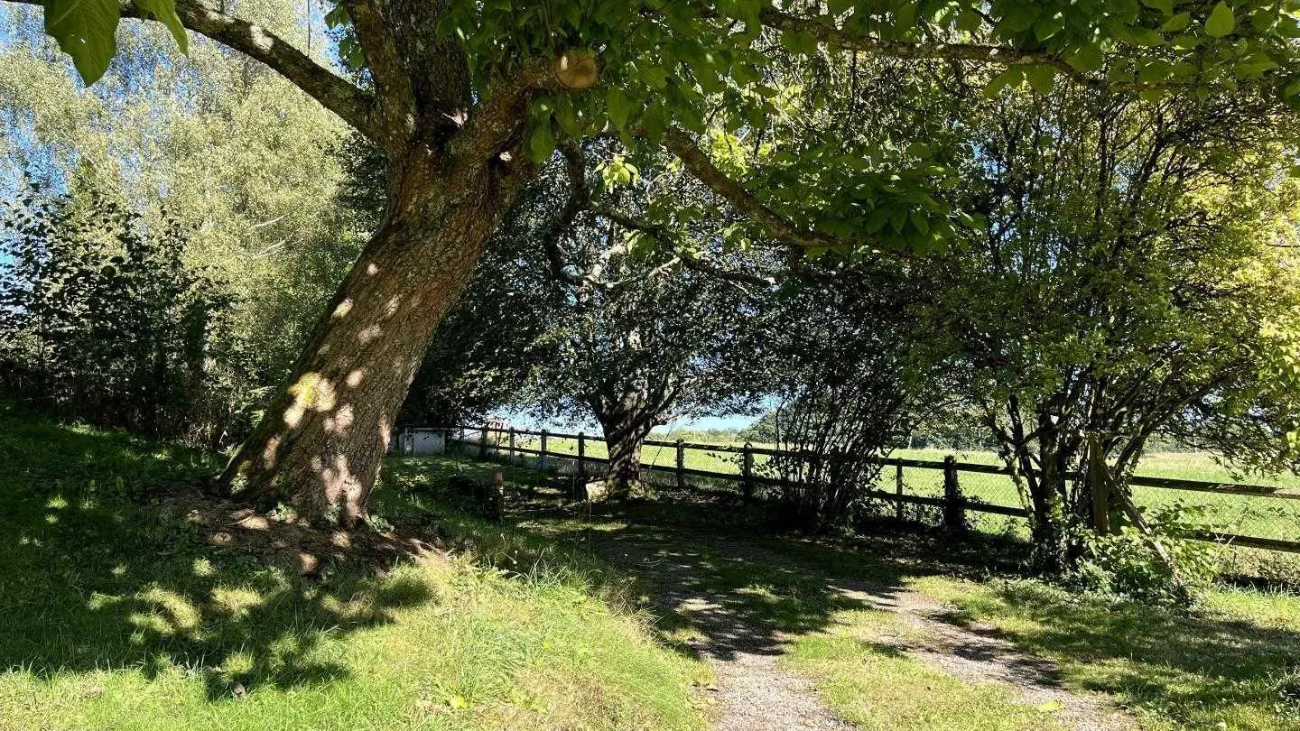 Gîte du Mas du Puy à Ambazac en Haute-Vienne (Nouvelle Aquitaine)_75