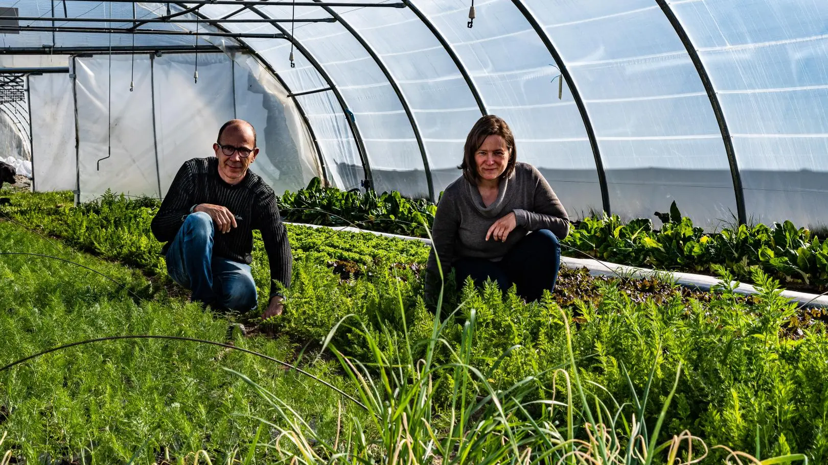 En plein travail dans les jardins. Visite possible des jardins en notre présence. On échangera avec vous pour notre plus grand plaisir notre métier-passion._26