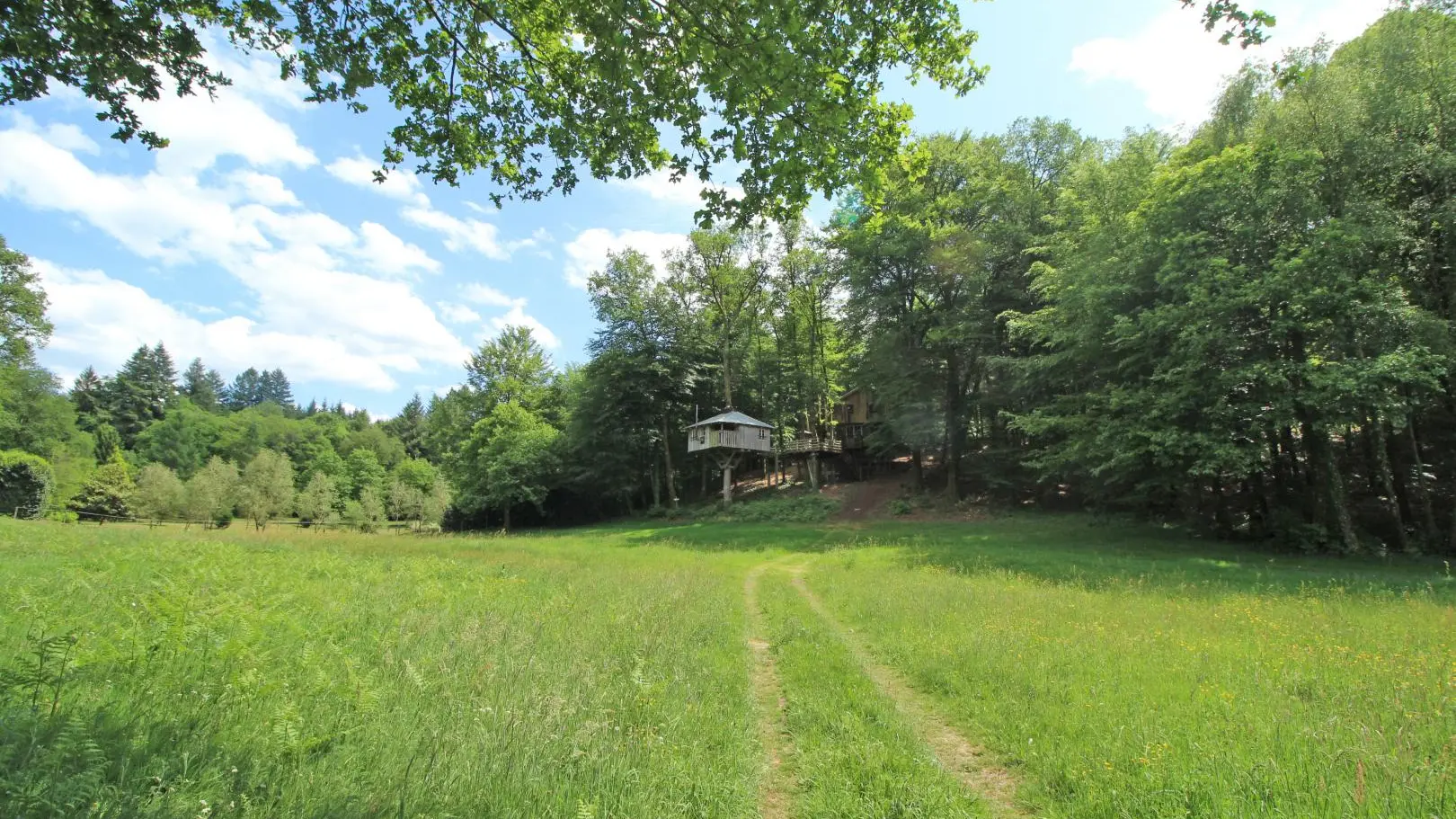 Cabane du 