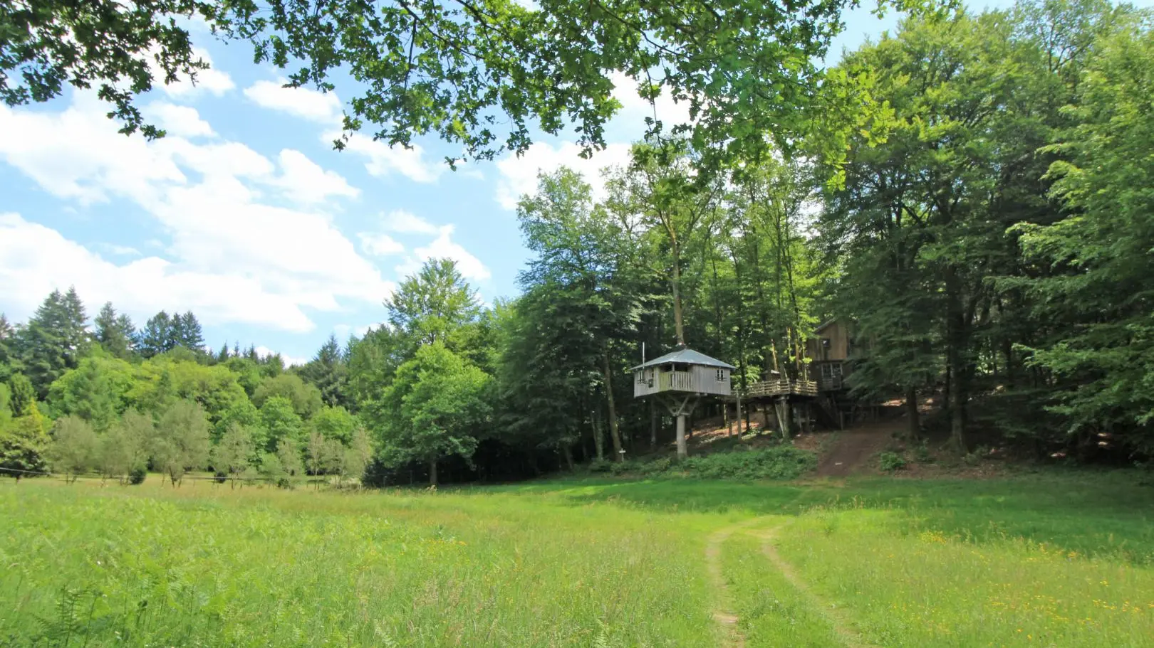 Cabane du 