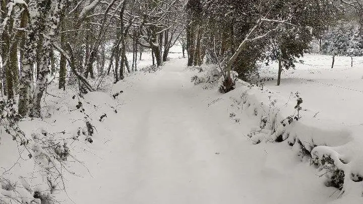 Cabane du 