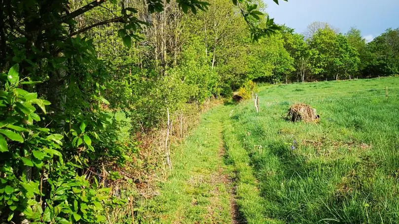 chemin de balade proche de la maison_48