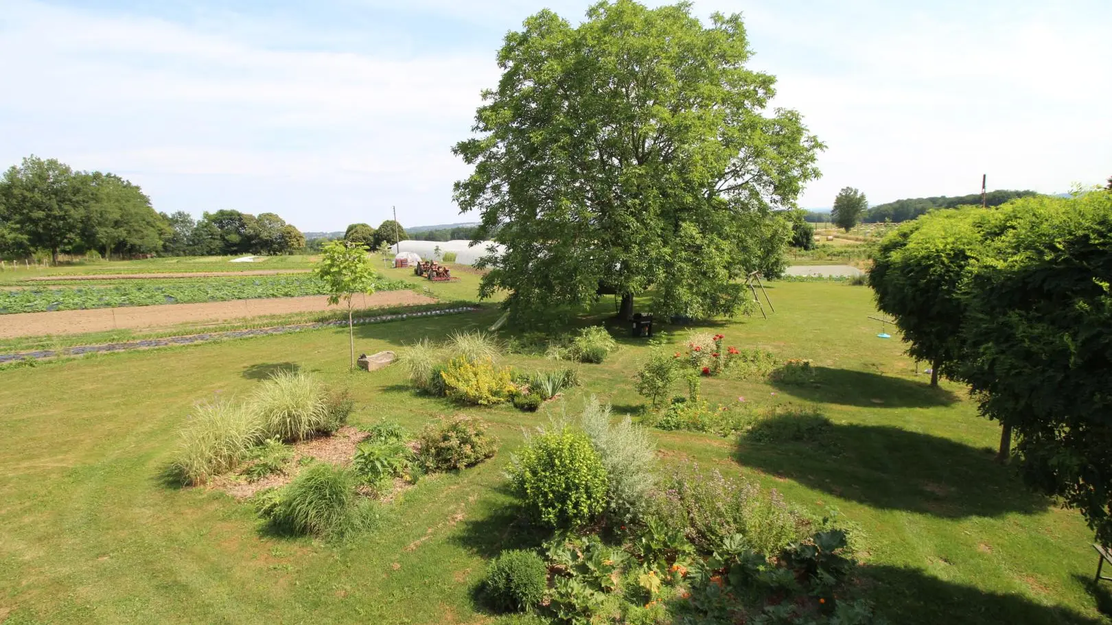 Vue sur le jardin maraicher_26