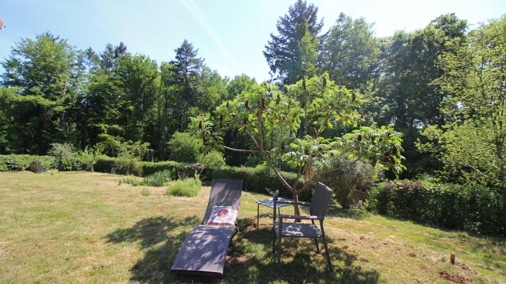 Le gîte des oiseaux à Bujaleuf en Haute-Vienne (Nouvelle Aquitaine)_29