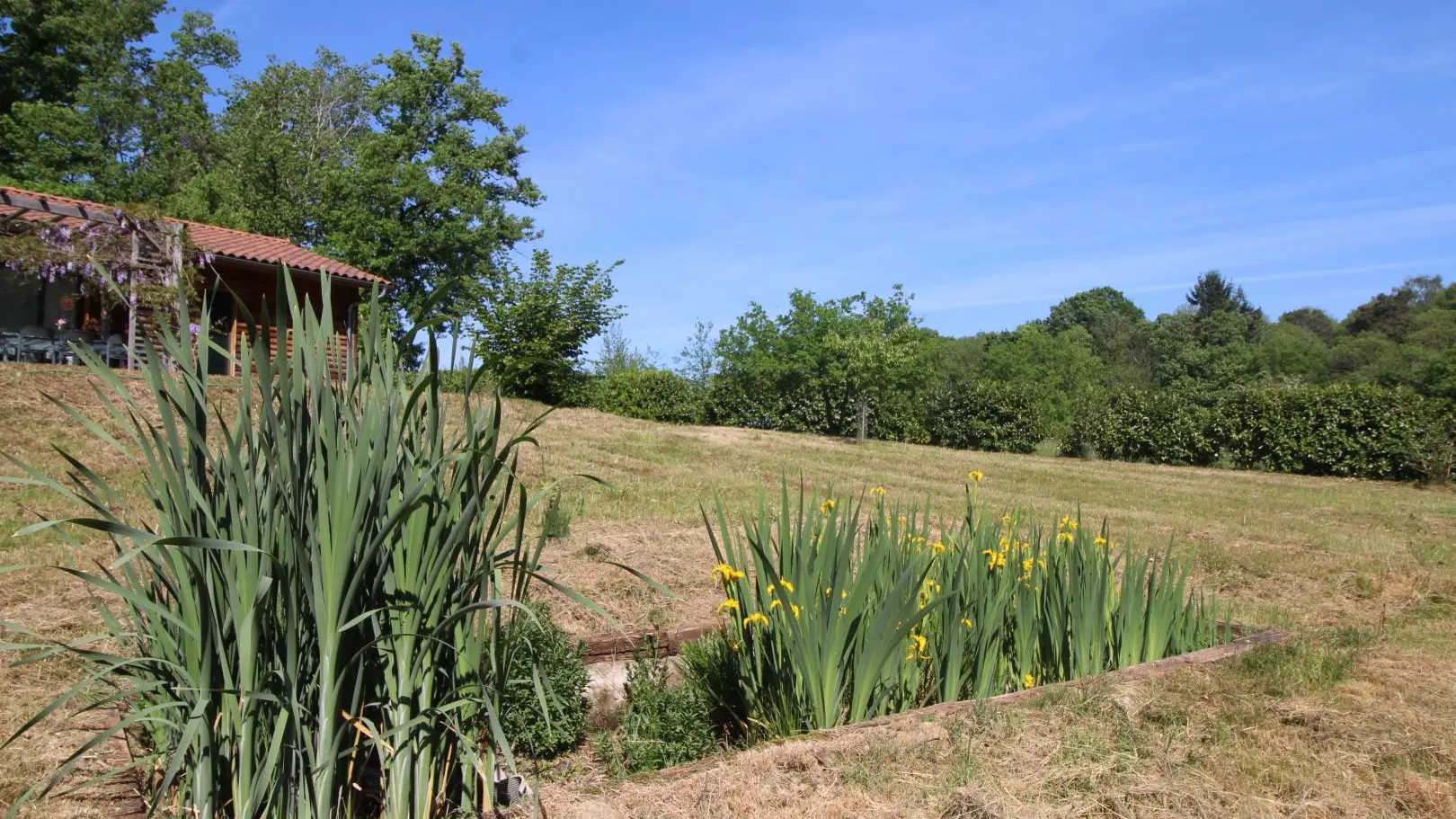 Le gîte des oiseaux à Bujaleuf en Haute-Vienne (Nouvelle Aquitaine) - Phytoépuration_28