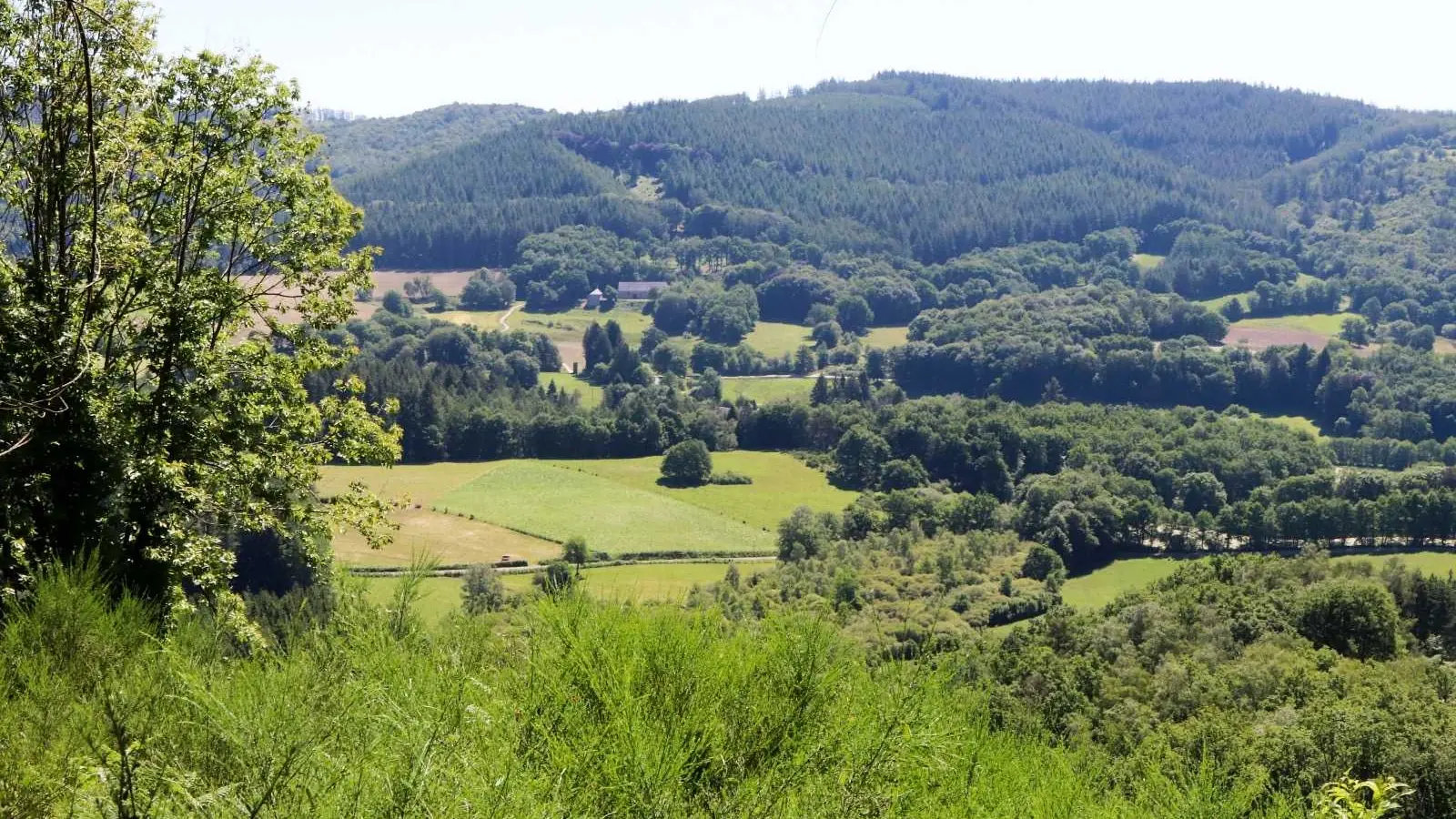 Gite du Mazeau Nicot Haut à Nedde en Haute-Vienne (Nouvelle-Aquitaine) : la maison vue de l'autre côté de la vallée_22