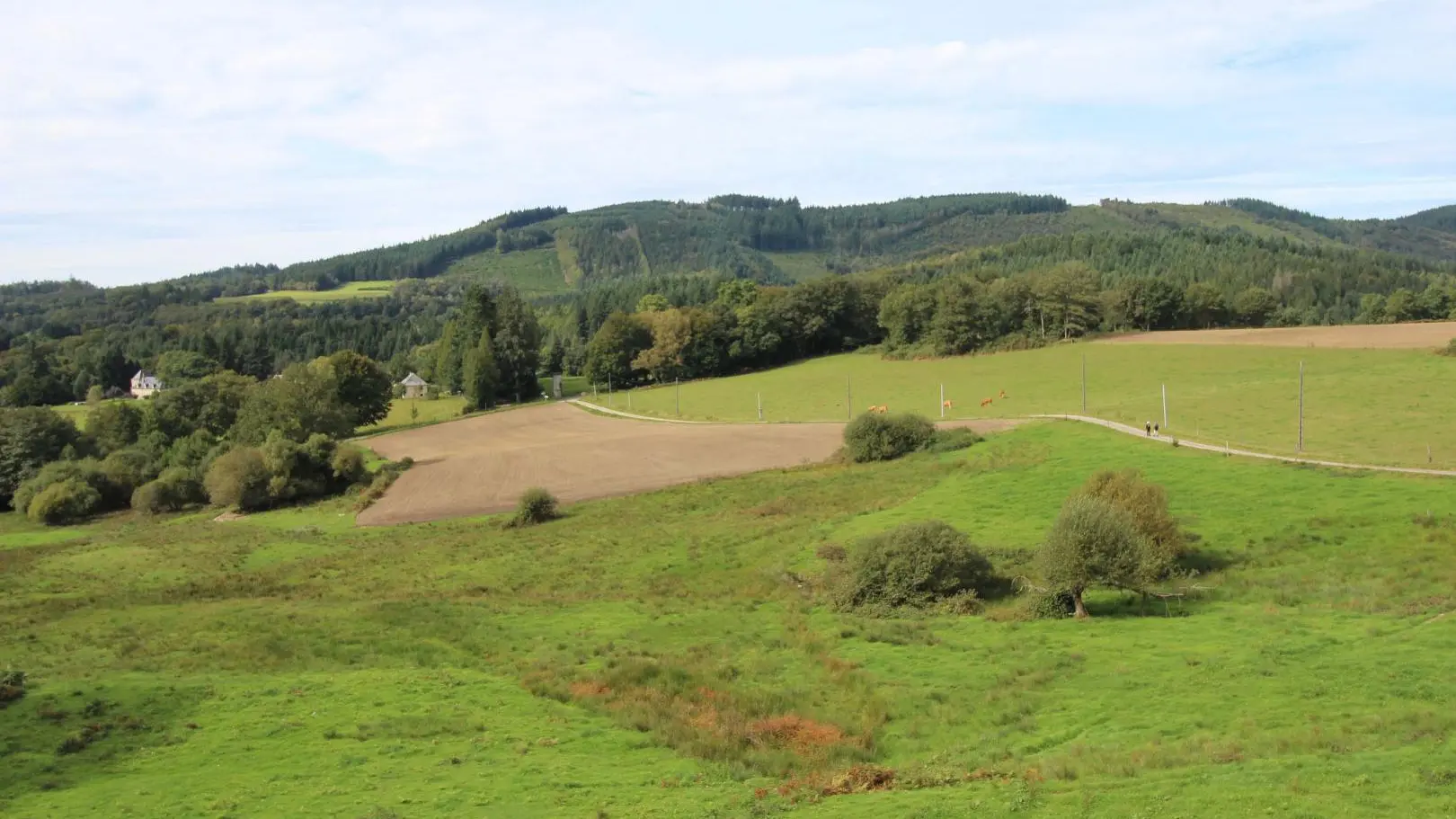 Gite du Mazeau Nicot Haut à Nedde en Haute-Vienne (Nouvelle-Aquitaine) - vue_3