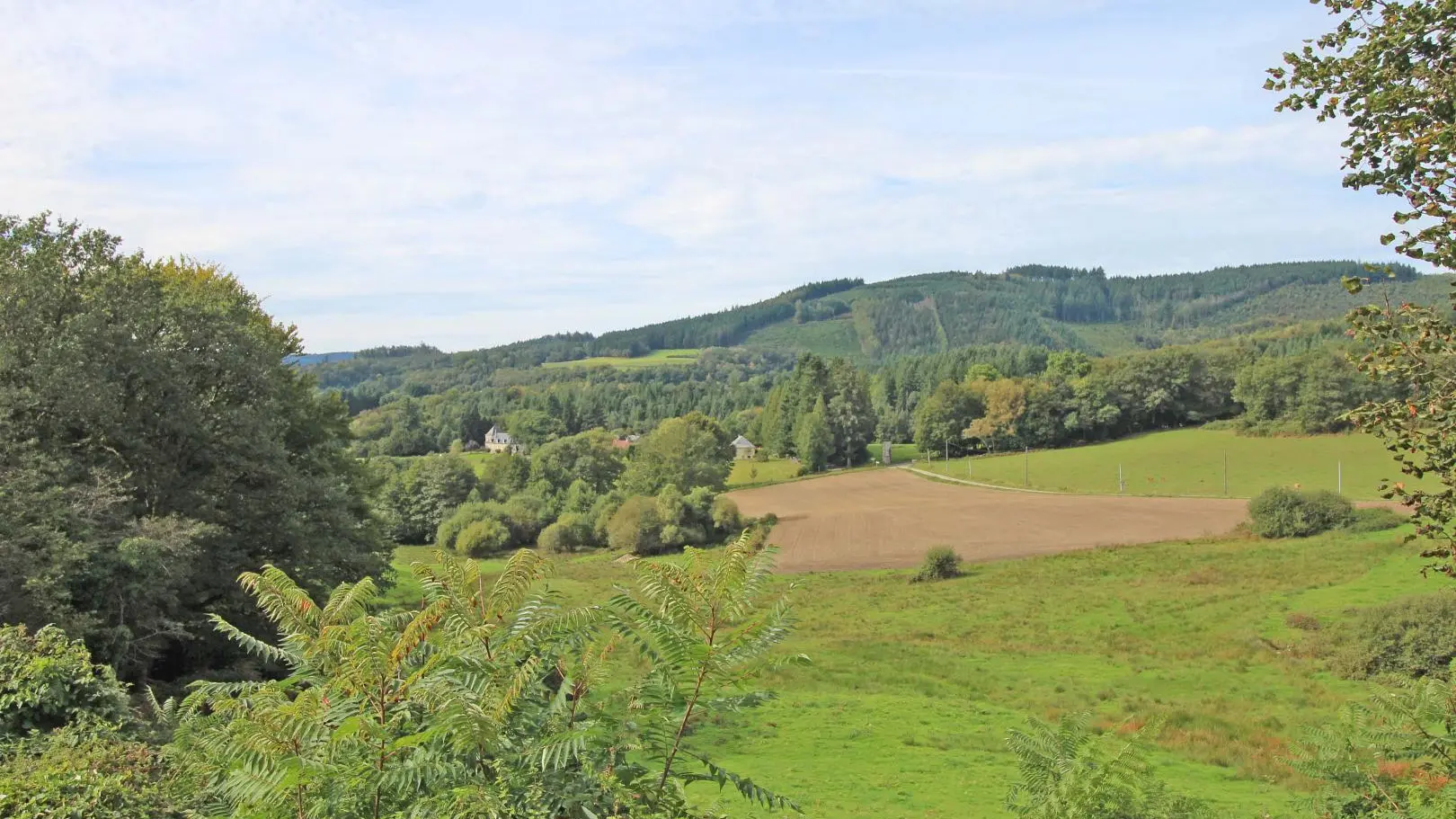 Gite du Mazeau Nicot Haut à Nedde en Haute-Vienne (Nouvelle-Aquitaine) - vue de la terrasse_30