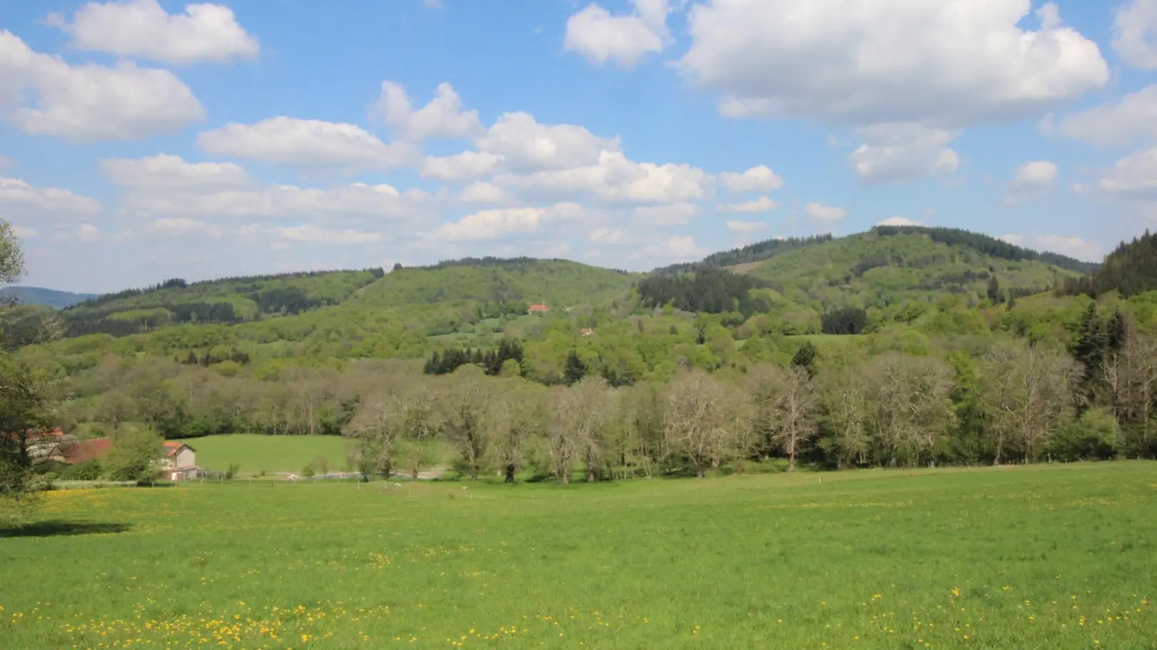 Nature, forêt et montagnes à 5 minutes du lac de Vassivière. Chemins de randonné en partant du site, marche, vtt, moto, quad..._27