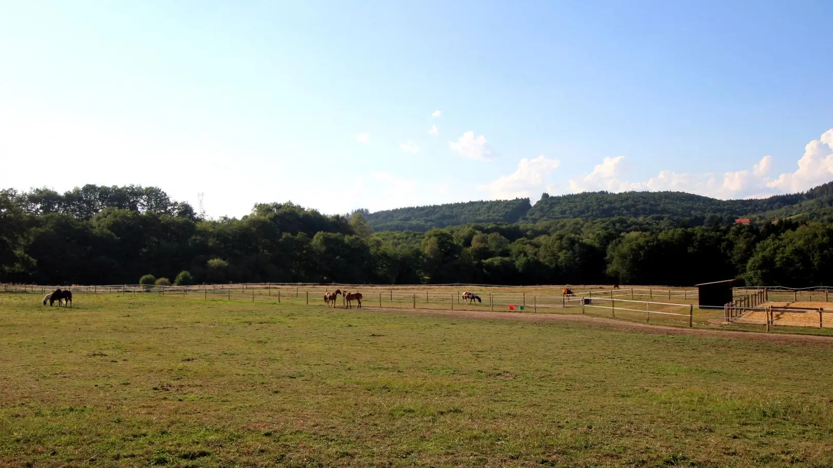 17 hectares autours du gîte et de nombreux chemins de randonnée partant du site_45