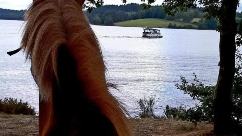 Lac de Vassivière. Bateau taxi afin de traverser le lac_35