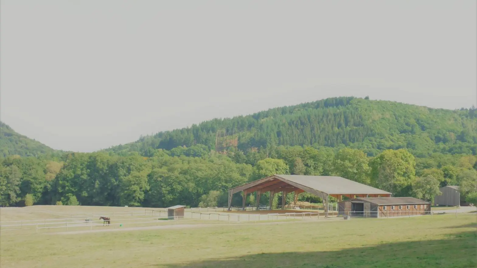 Lintignat. Dans une propriété de 17 hectares_26