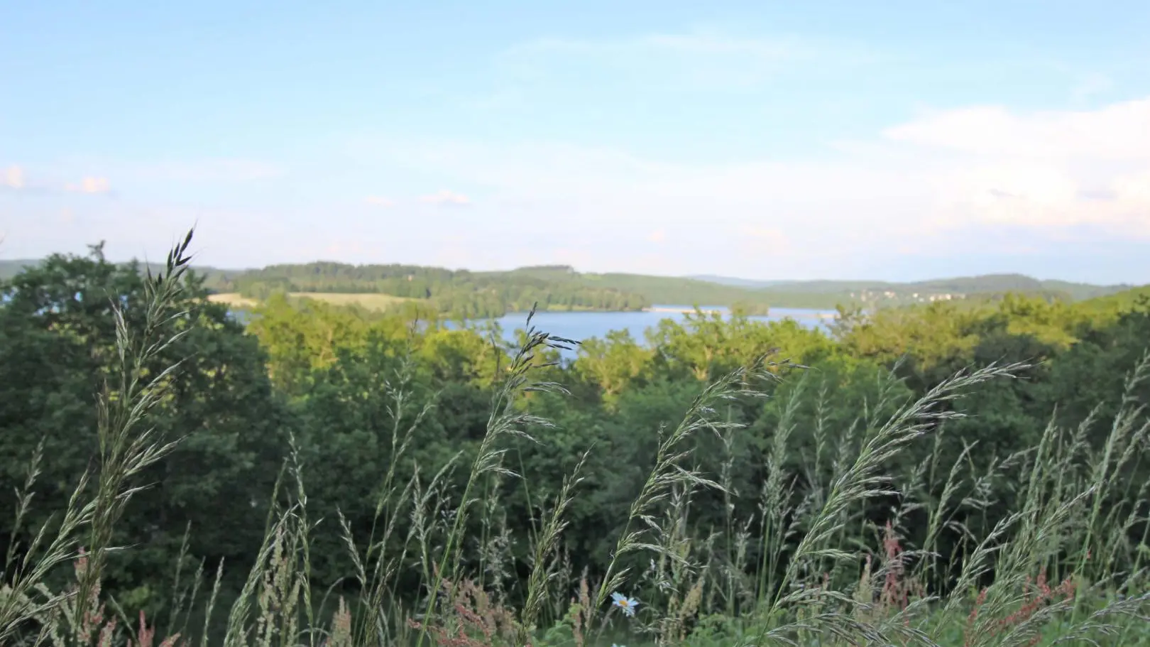 Larcs à Auphelle - Peyrat Le Chateau en Haute-Vienne (Nouvelle Aquitaine) - le lac de Vassivière_38