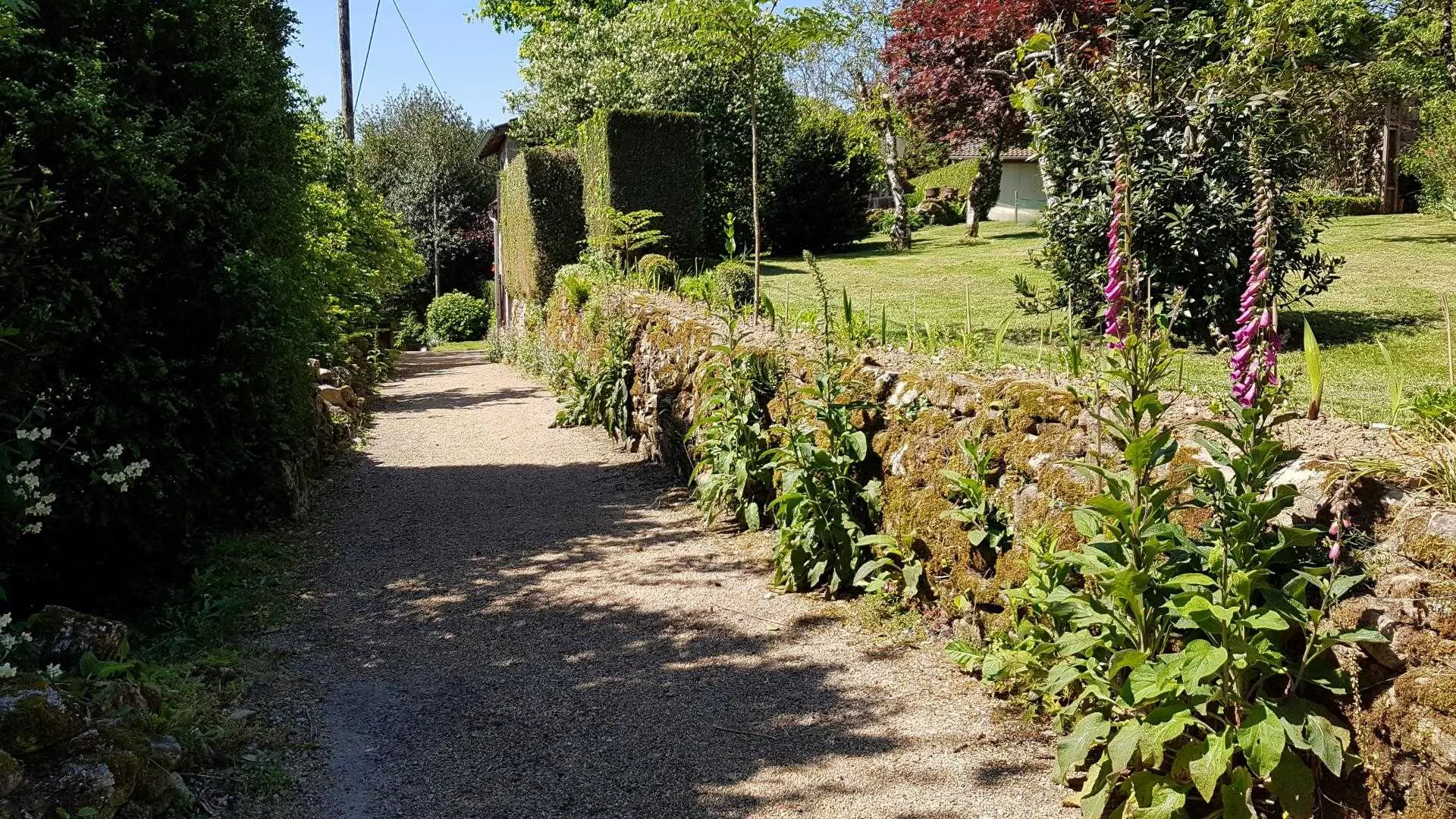 chemin d'accès au gîte_26