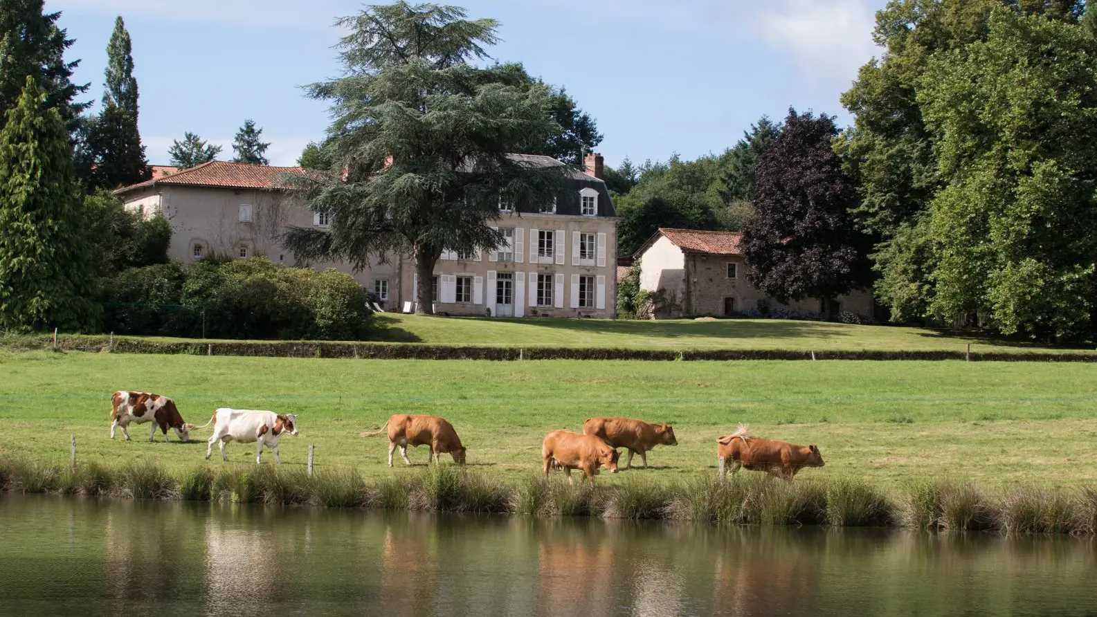 Le Masbareau, Chambres et Table d'Hôtes de Charme 87400 St Léonard-de-Noblat, Haute-Vienne, Nouvelle-Aquitaine, Limousin_1