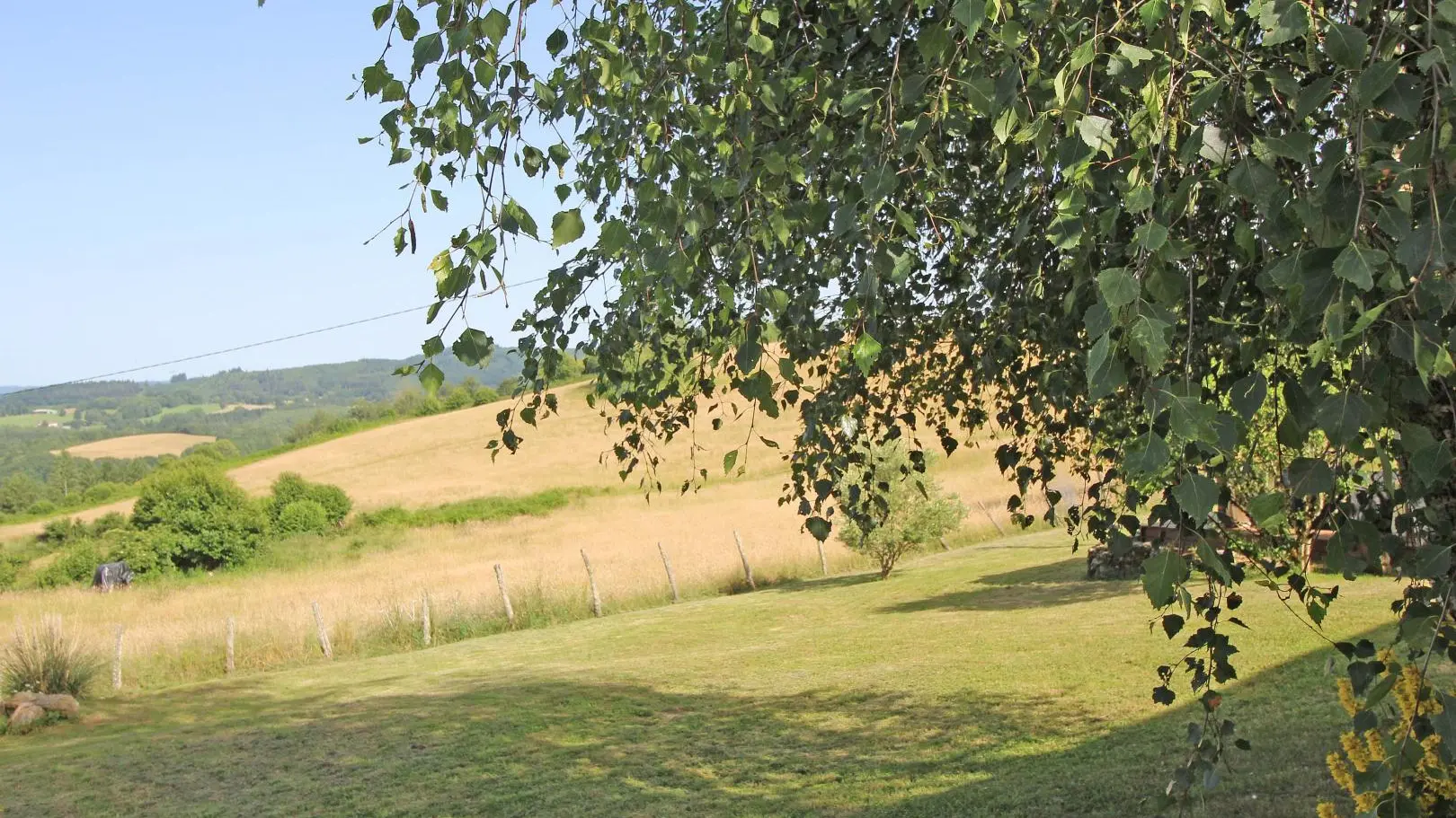 Chambre d'hôtes 