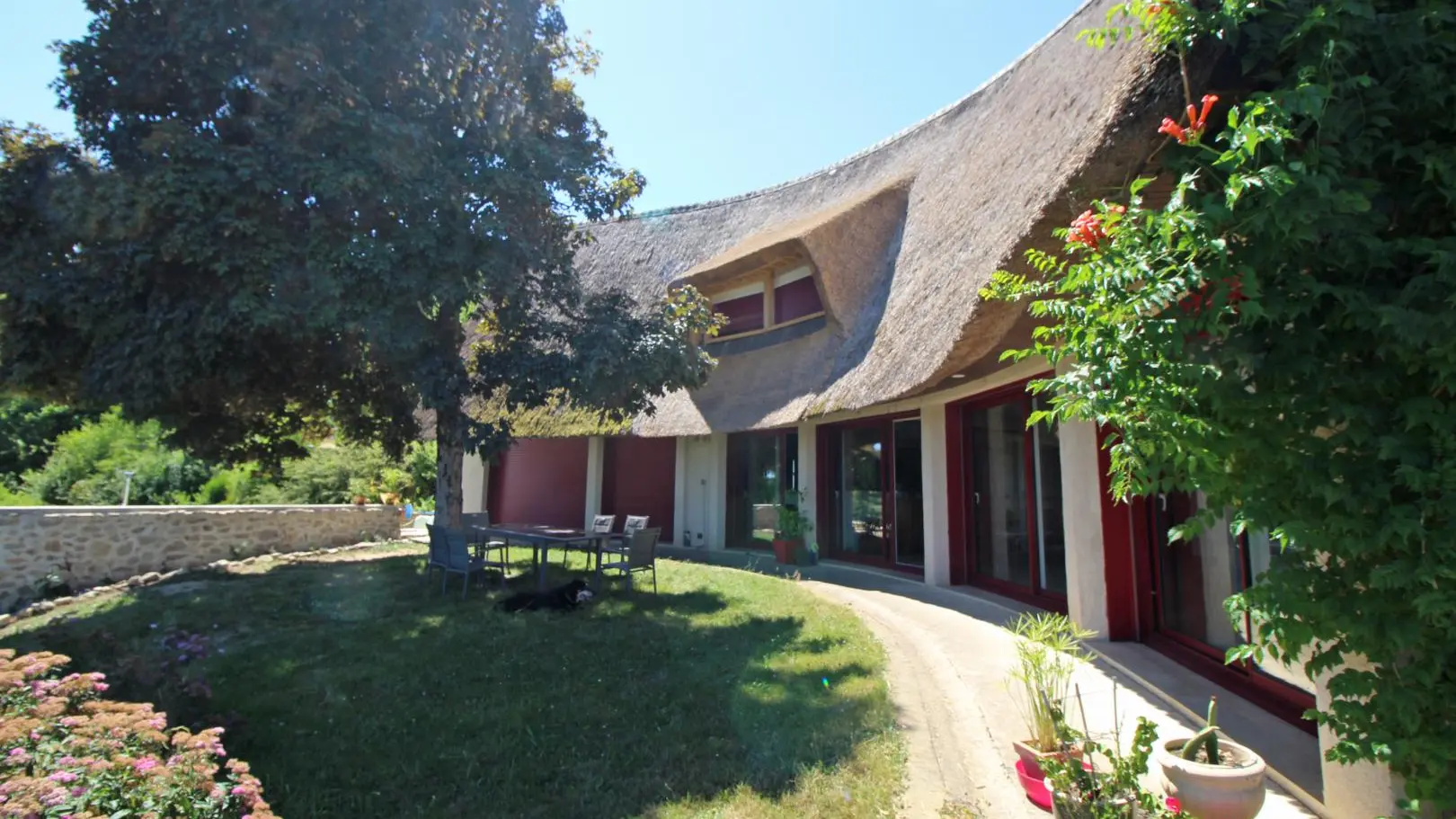 Les Bois de Saint Auvent à La Geneytouse en Haute-Vienne (Nouvelle Aquitaine)_32