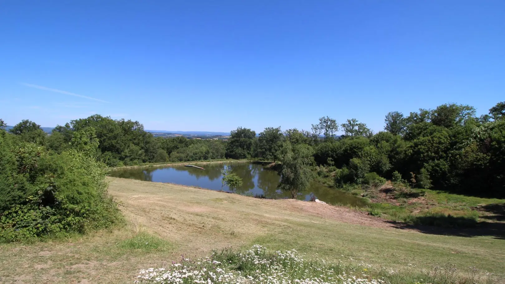 Les Bois de Saint Auvent à La Geneytouse en Haute-Vienne (Nouvelle Aquitaine)_42