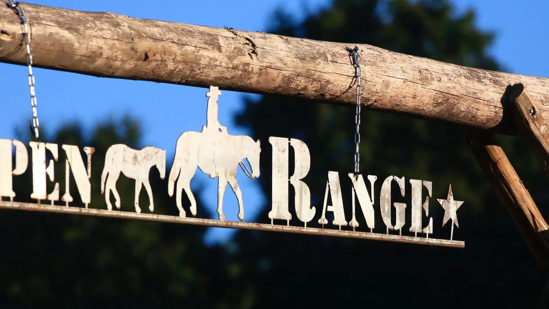 Open Range, gîte à Château-Chervix en Haute-Vienne (Limousin)_29