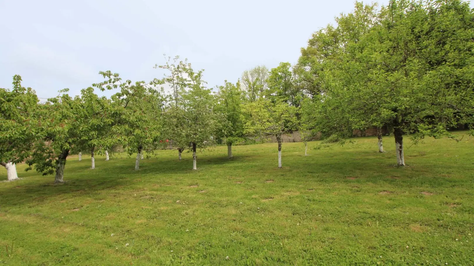 Gite de la maison du potager à Montintin, commune de Chateau Chervix_22